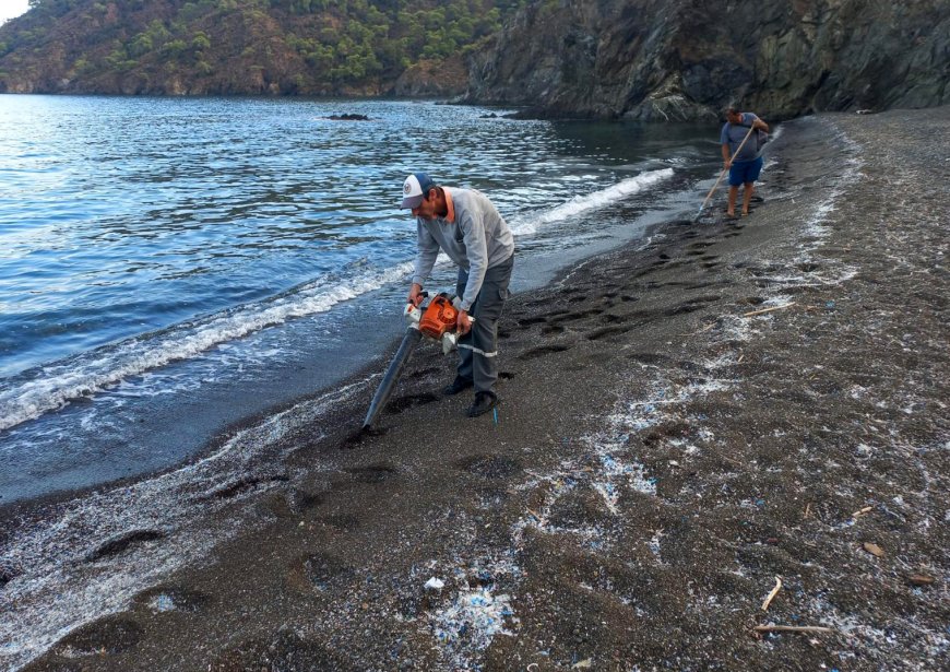Kemer’de ulaşımı zor koylarda çevre temizliği yapıldı