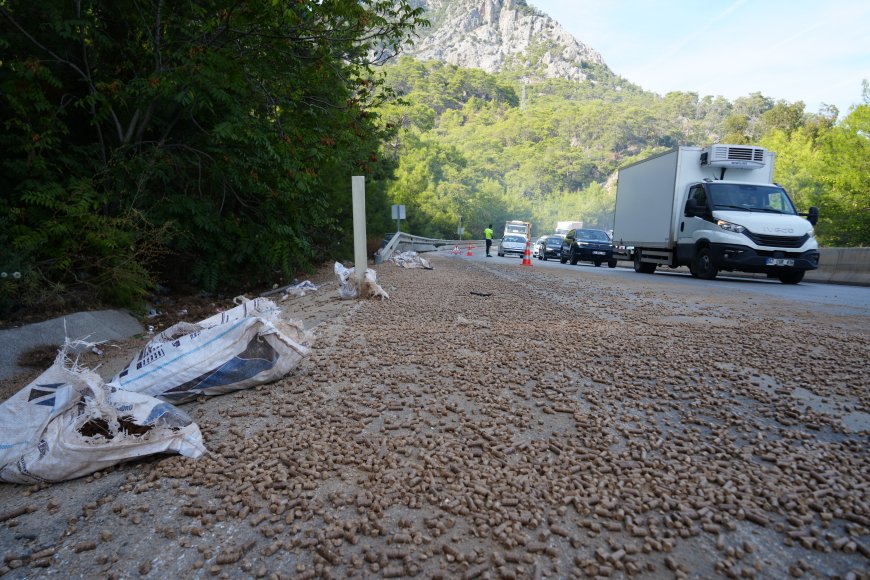 Antalya-Kemer yolunda pelet yüklü kamyon devrildi: 1 yaralı