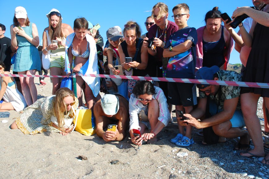 Çıralı’da caretta caretta sezonu sona erdi: 3 bin 458 yavru denizle buluştu