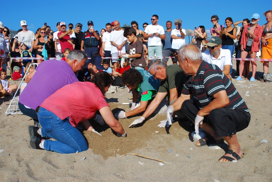 Çıralı’da caretta caretta sezonu sona erdi: 3 bin 458 yavru denizle buluştu