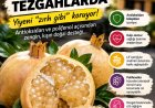 Beyaz nar tezgâhlarda yerini aldı: Farklı görünümüyle dikkat çekiyor