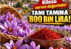Kilosu 800 bin TL! Türkiye'nin en pahalı baharatında hasat başladı