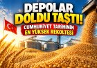 Türkiye'de buğday ve arpa üretiminde rekor beklentisi: TMO ihracat için harekete geçti
