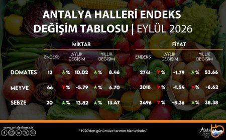 Antalya hallerinde eylül tablosu: Domates ve sebzede fiyat arttı, meyve geriledi