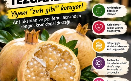 Beyaz nar tezgâhlarda yerini aldı: Farklı görünümüyle dikkat çekiyor