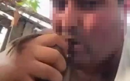 Alanya’da kuşlara eziyet görüntülerine soruşturma: Şüpheli adliyeye sevk edildi
