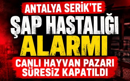 Antalya Serik’te şap hastalığı alarmı: Çandır Canlı Hayvan Pazarı süresiz kapatıldı