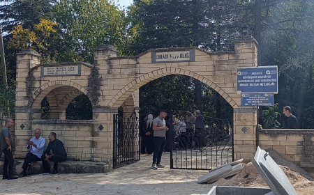 Antalya'da bin yıllık kestane ağaçları yok olma tehlikesiyle karşı karşıya! Acil önlem çağrısı
