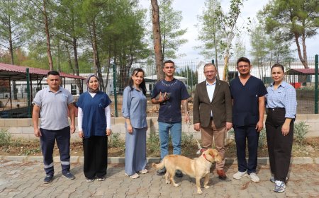 Aksu'daki orman yangınından kurtarılan 10 can dostu yeni yuvalarına kavuştu