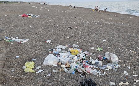 Antalya'da caretta carettaların yuvalama sahili yine çöplüğe döndü! Kumköy'de kirlilik bitmiyor