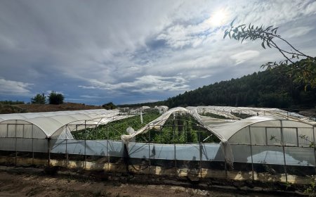 Antalya'da sağanak ve hortumun bilançosu ortaya çıkıyor! 478 personel, 357 araçla gece boyu müdahale