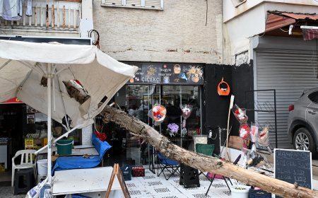 Antalya'da faciadan dönüldü! İş yerlerinin üzerine devrilen ağaçtan şemsiye kurtardı