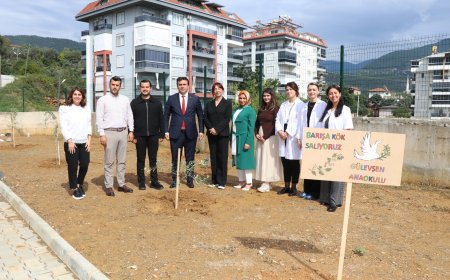 Alanya'da minik eller zeytin fidanlarını toprakla buluşturdu! Anaokulunda anlamlı etkinlik