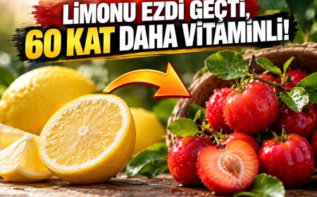 Limondan 60 kat fazla C vitamini içerebiliyor! İşte 'yeşil altın' olarak anılan mucizevi meyve