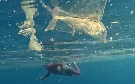 Antalya'da denize girenleri tedirgin eden görüntü! Kaş sahilinde plastik kirliliği alarmı