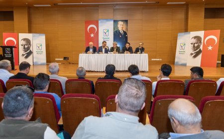 Manavgat'ta zeytin ve zeytinyağı festivali için geri sayım! Tarihler belli oldu