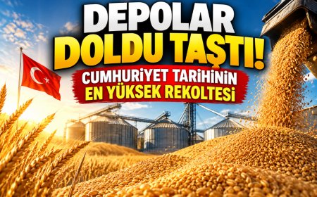 Türkiye'de buğday ve arpa üretiminde rekor beklentisi: TMO ihracat için harekete geçti