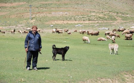 Toroslar’da Yörük göçü: Alanyalı ailelerin yayladan sahile dönüşü başladı
