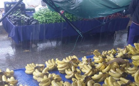 Antalya Alanya'da sağanak yağış hayatı olumsuz etkiledi: Evleri ve pazar yerini su bastı