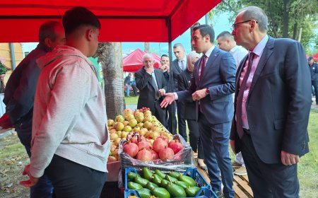 Çekirdeksiz nardan tropikal meyvelere: Gazipaşa’da festival coşkusu