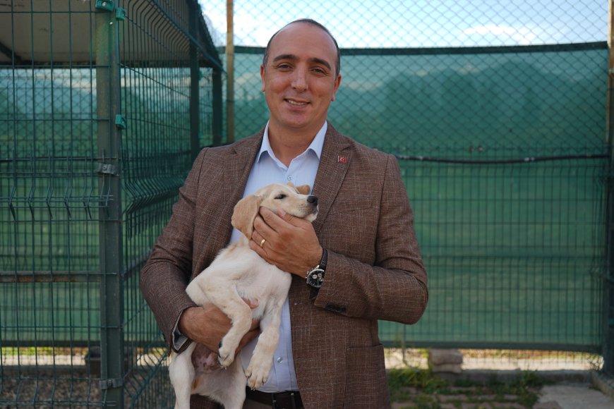 Aksu yangınından kurtarılan 19 köpekten 3’ü yuvasına kavuştu, 16’sı sahiplenilmeyi bekliyor