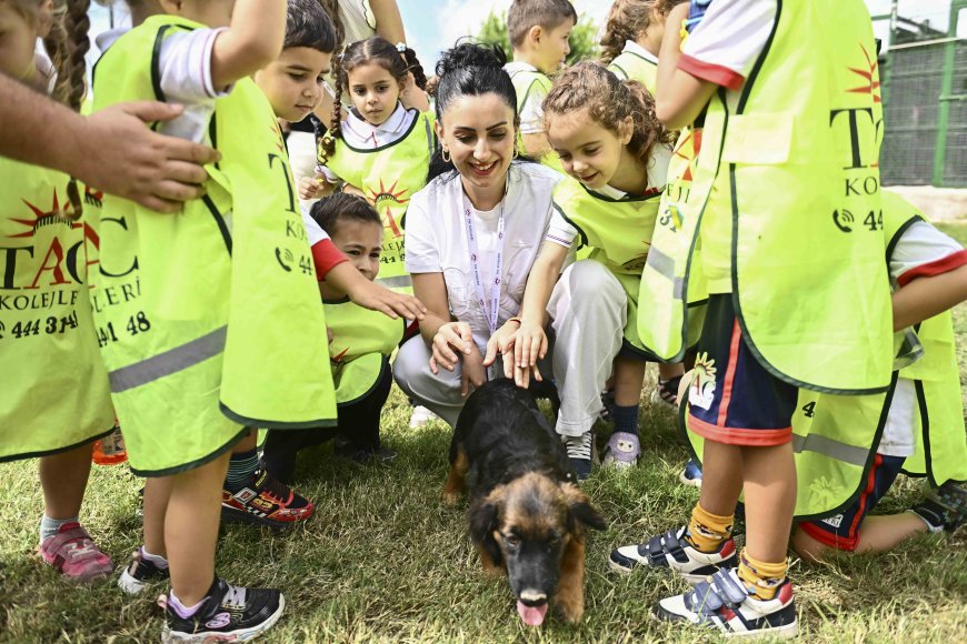 Muratpaşa’da 287 can sıcak yuvasına kavuştu