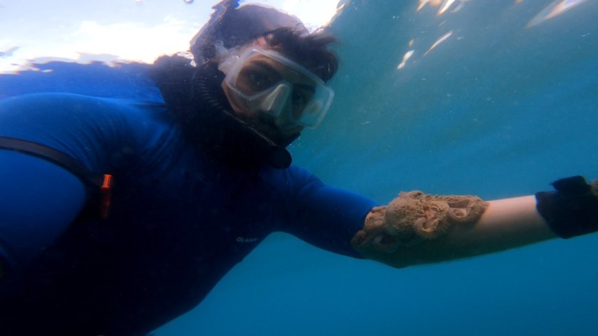 Antalya’da su altında sıra dışı dostluk: Ahtapotlar kendiliğinden yanına geliyor