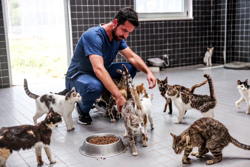 Antalya’da can dostlara 84 bin metrekarelik yaşam alanı