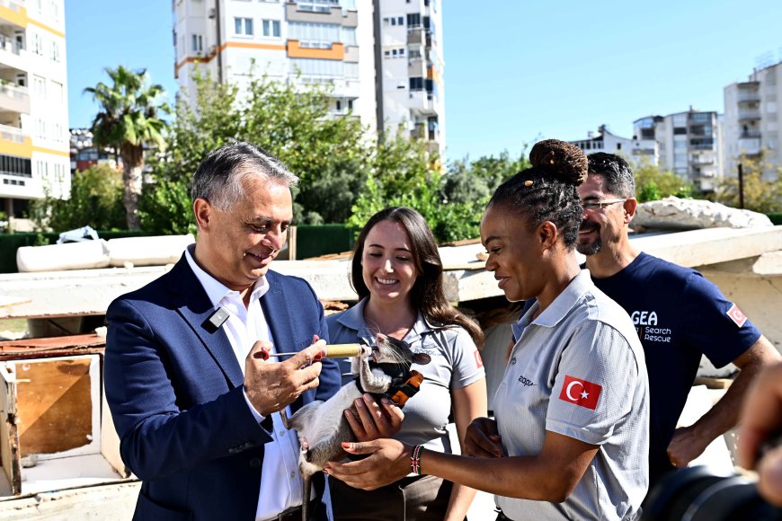 Antalya’da enkaz altındaki canlara “Kahraman Fareler” ulaşacak