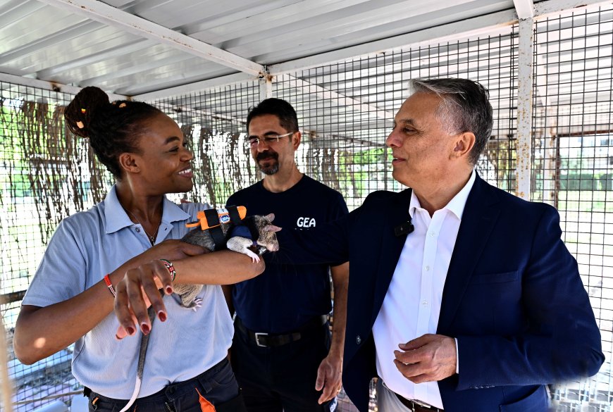 Antalya’da enkaz altındaki canlara “Kahraman Fareler” ulaşacak