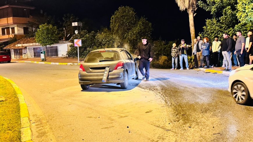 Manavgat’ta kontrolden çıkan otomobil palmiyeye çarptı: 2 yaralı