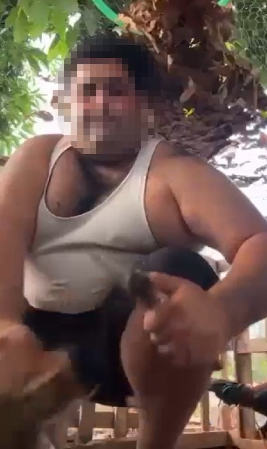 Alanya’da kuşlara eziyet görüntülerine soruşturma: Şüpheli adliyeye sevk edildi