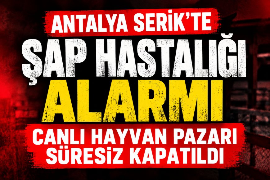 Antalya Serik’te şap hastalığı alarmı: Çandır Canlı Hayvan Pazarı süresiz kapatıldı
