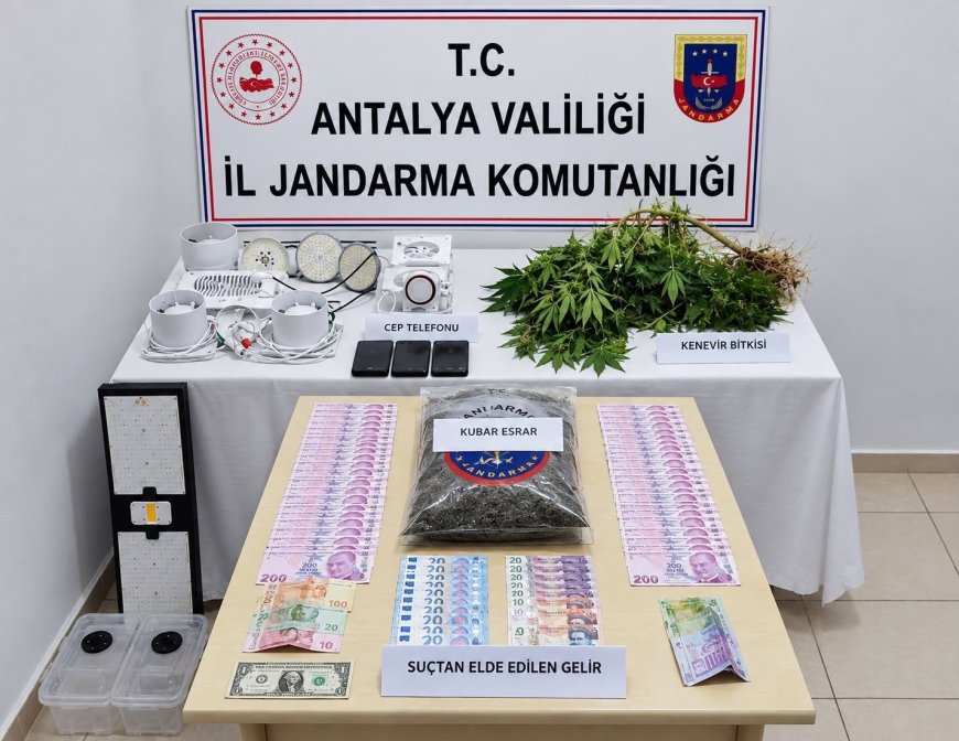 Antalya Manavgat’ta jandarmadan uyuşturucu operasyonu: Evde esrar, kenevir ve yetiştirme düzenekleri ele geçirildi