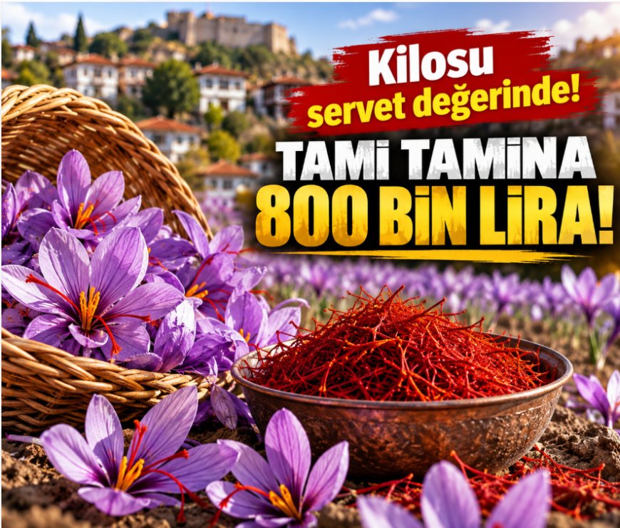 Kilosu 800 bin TL! Türkiye'nin en pahalı baharatında hasat başladı