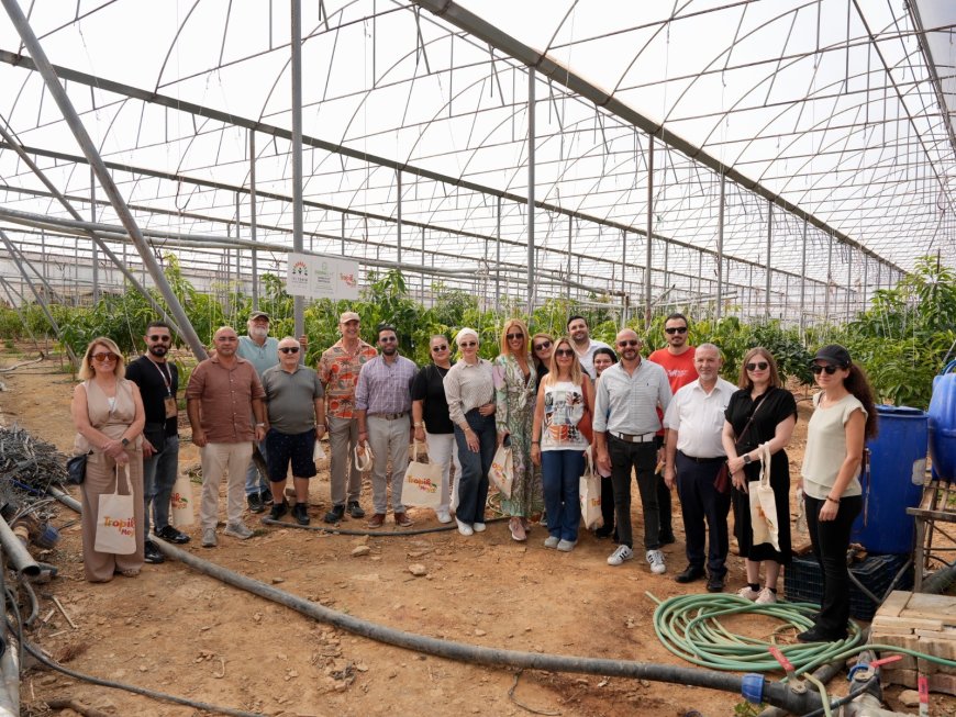 Alanya'da tropikal lezzetler dünyaya açıldı! Festivalin yıldızı 679 gramlık avokado oldu