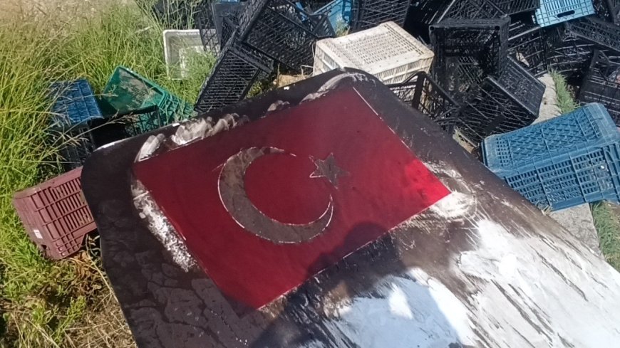 Manavgat'ta kamyonet alev alev yandı! İtfaiye erinin Türk bayrağına gösterdiği özen dikkat çekti