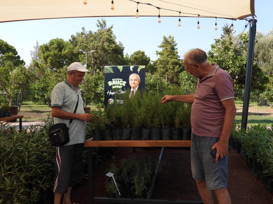 Kepez Bahçe Market'e yoğun ilgi! 61 türde 260 bin fide üretildi