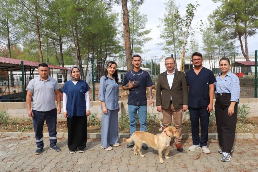 Aksu'daki orman yangınından kurtarılan 10 can dostu yeni yuvalarına kavuştu