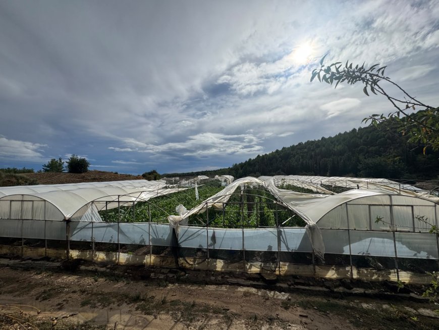 Antalya'da sağanak ve hortumun bilançosu ortaya çıkıyor! 478 personel, 357 araçla gece boyu müdahale