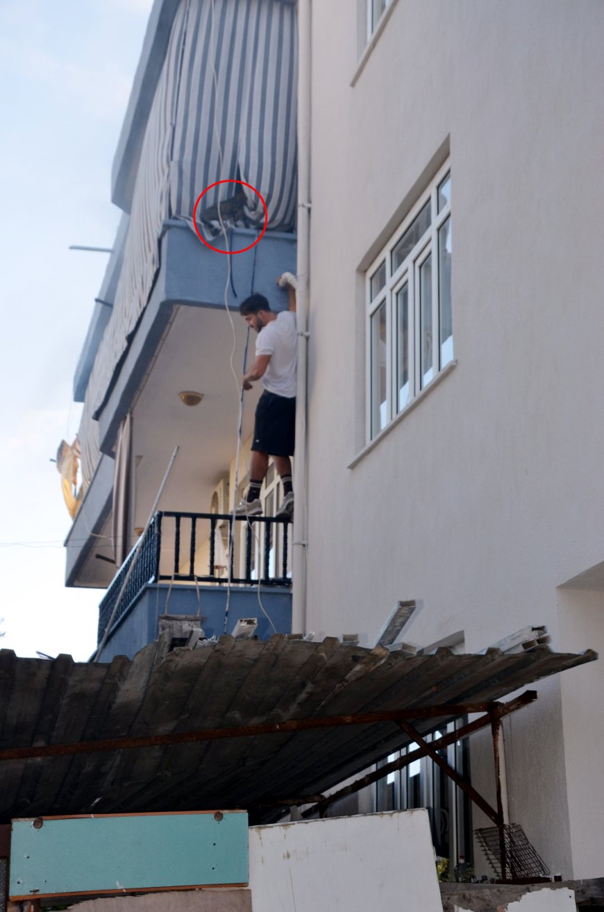 Antalya Serik'te yangında canını hiçe saydı! Balkona tırmanıp mahsur kalan kediyi kurtardı