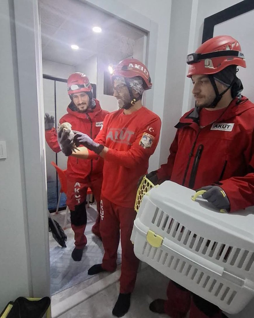 Antalya'da evin havalandırma boşluğundan gelen sürpriz! Mahsur kalan baykuşu AKUT kurtardı