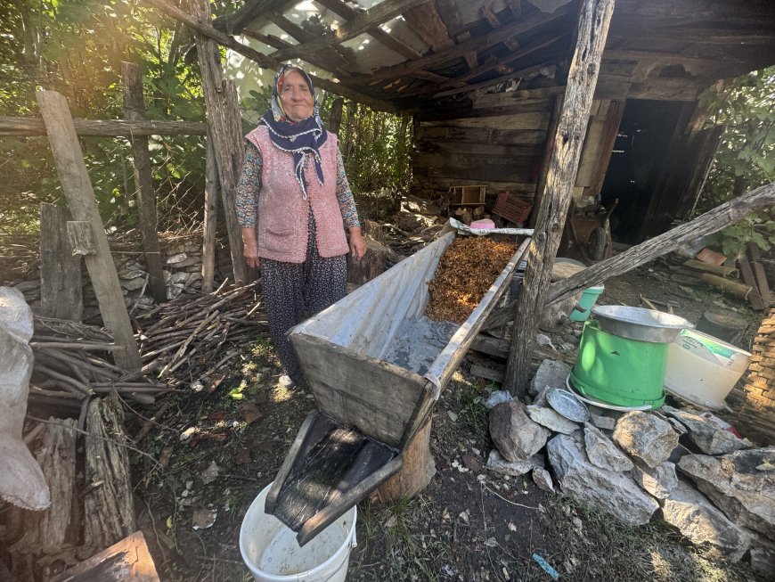 Antalya'da 100 yıllık teknede asırlık gelenek! Üzüm pekmezinin kilosu 600 liraya ulaştı
