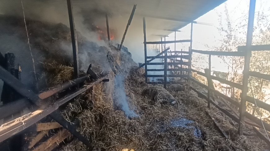 Manavgat'ta aynı ahırda ikinci yangın! 5 hayvan telef oldu, 1400 balya saman yandı