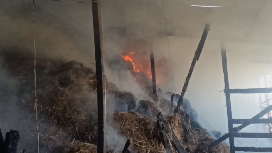 Manavgat'ta aynı ahırda ikinci yangın! 5 hayvan telef oldu, 1400 balya saman yandı