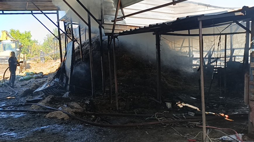 Manavgat'ta aynı ahırda ikinci yangın! 5 hayvan telef oldu, 1400 balya saman yandı