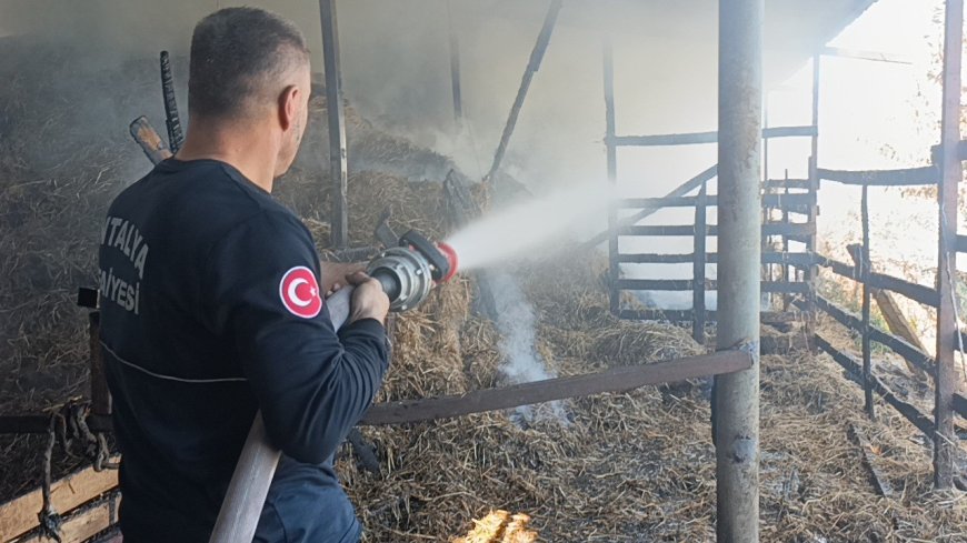 Manavgat'ta aynı ahırda ikinci yangın! 5 hayvan telef oldu, 1400 balya saman yandı