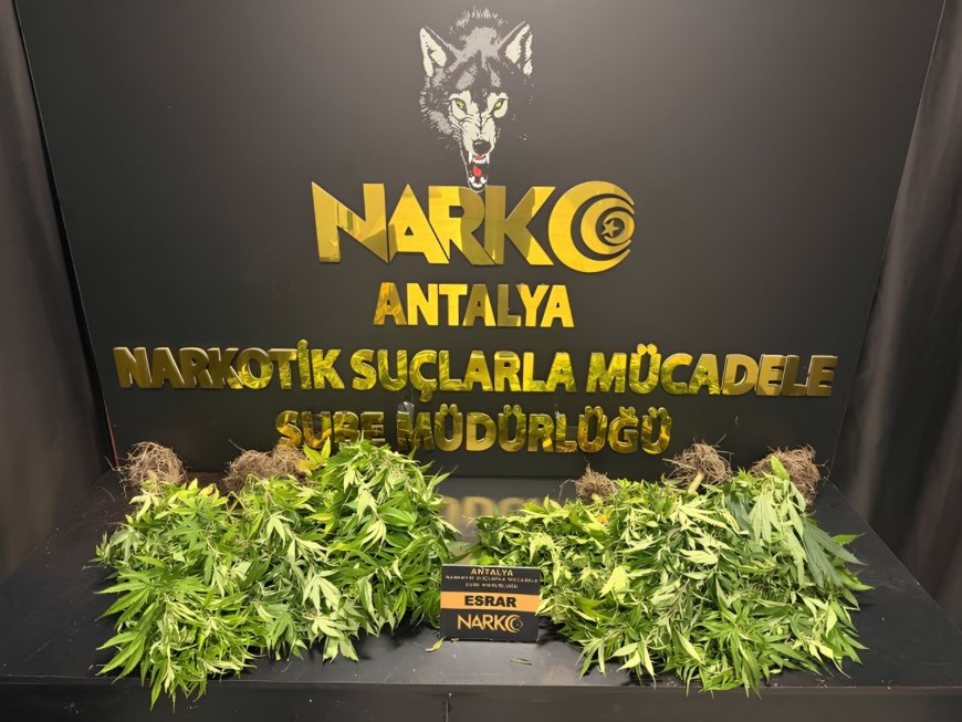 Antalya’da bir haftada 32 narkotik operasyonu: 28 bin 519 sentetik ecza ele geçirildi
